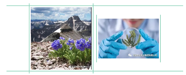 6966集团(中国)有限公司官网