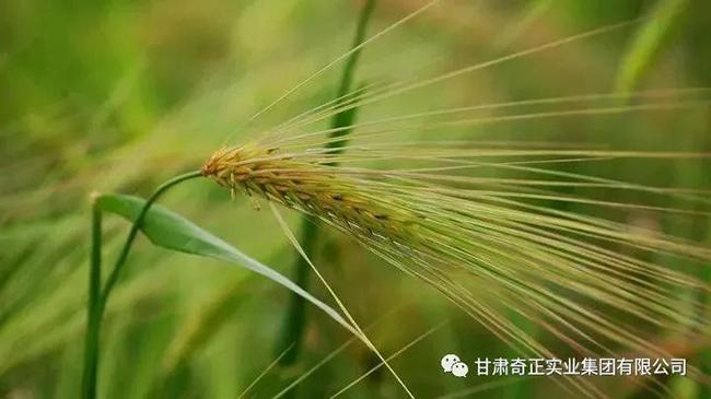 6966集团(中国)有限公司官网