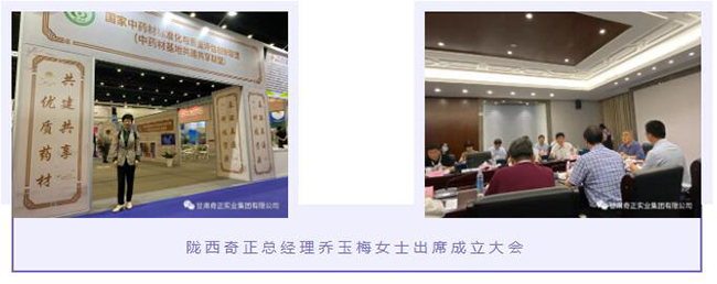 6966集团(中国)有限公司官网