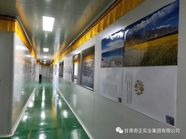 6966集团(中国)有限公司官网