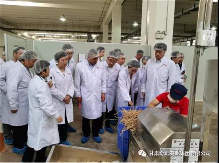 6966集团(中国)有限公司官网