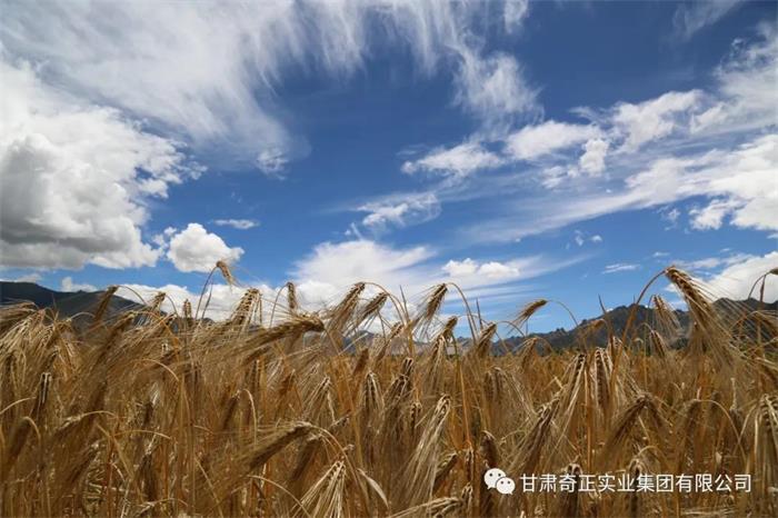 6966集团(中国)有限公司官网