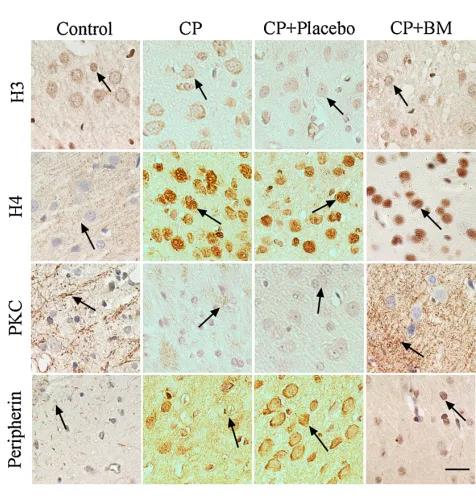 6966集团(中国)有限公司官网