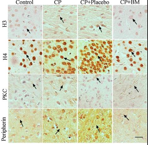6966集团(中国)有限公司官网