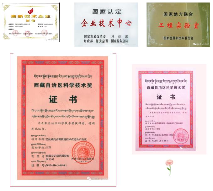 2021120418170309309 6966集团(中国)有限公司官网