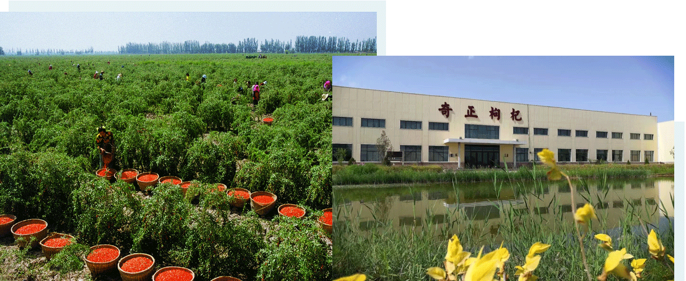 202205311653970432408586