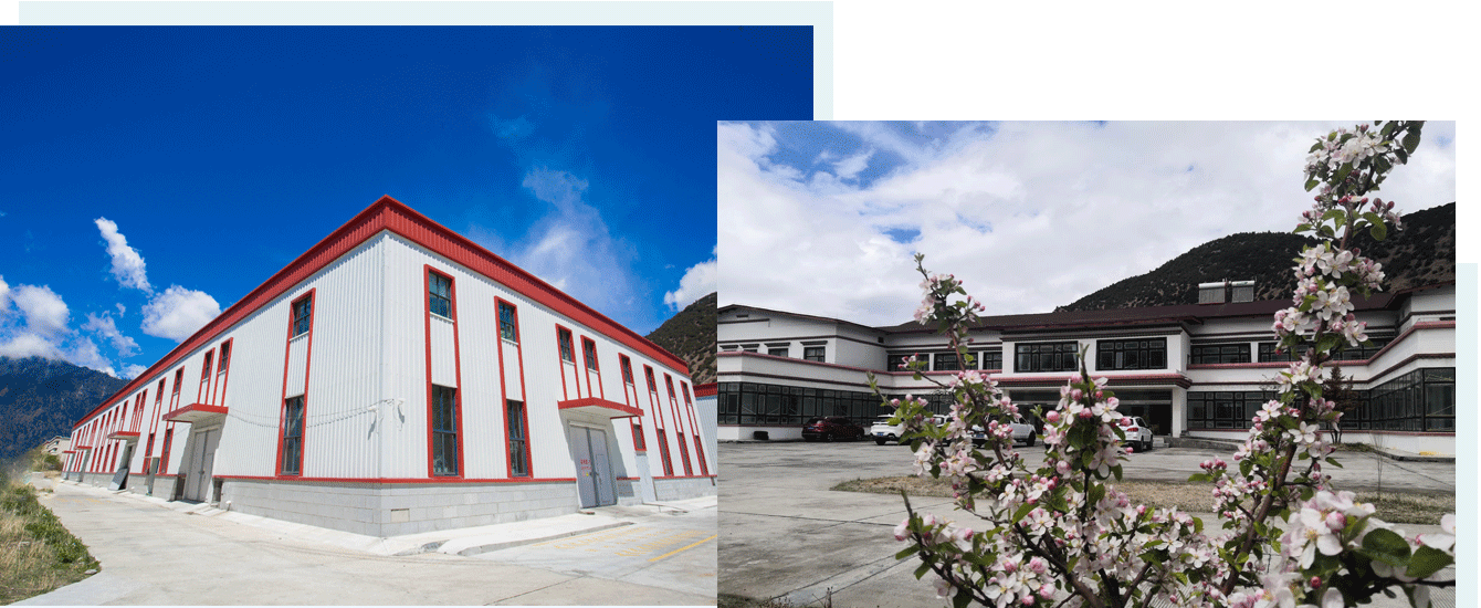 202205311653970539922816