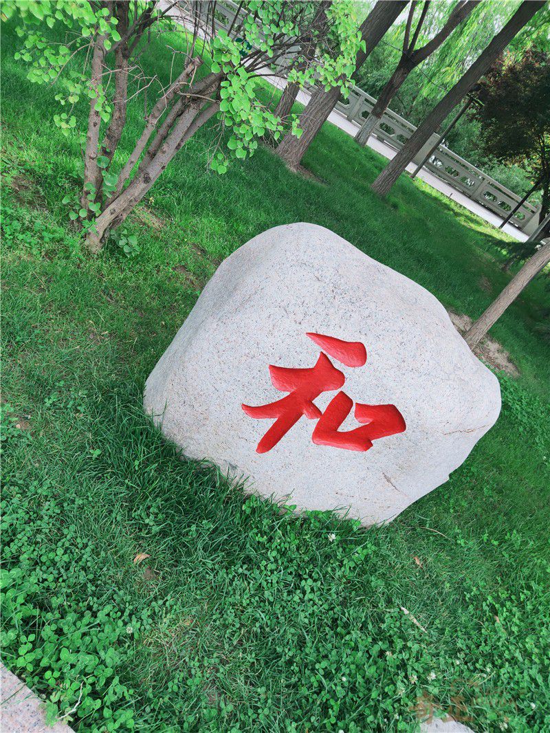 202206021654158096112364