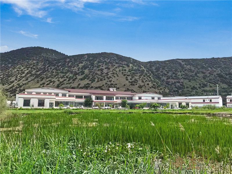 202206021654158137108414