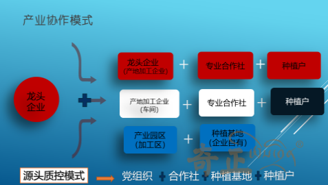 202206131655105622332420