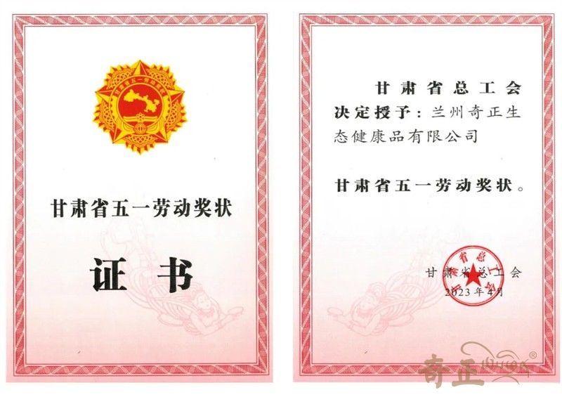 202304281682663906413442