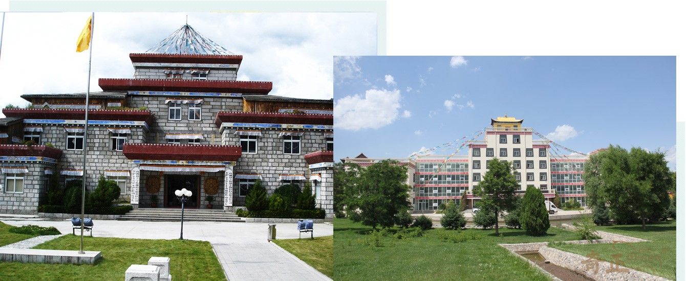 202305171684307923165772