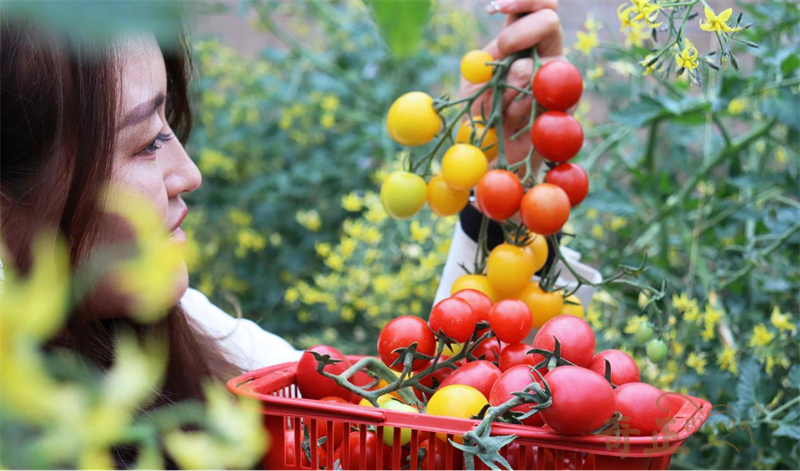 202311221700637458993623