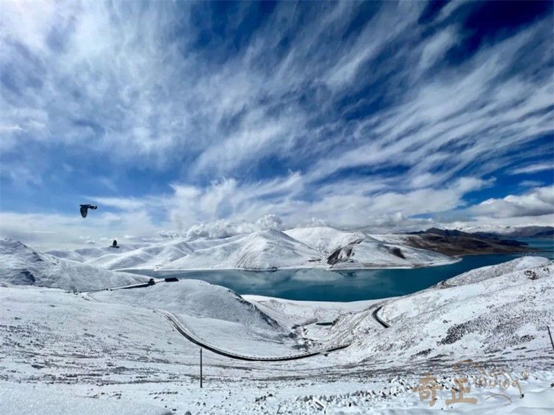 202312151702633800528262