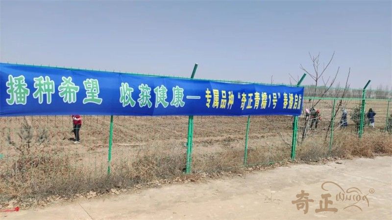 202403151710492629588214