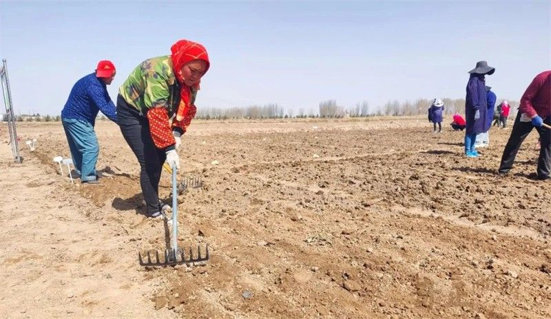 202403151710492645383968