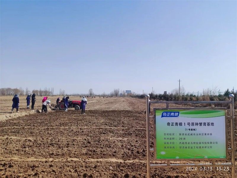 202403151710492657624291