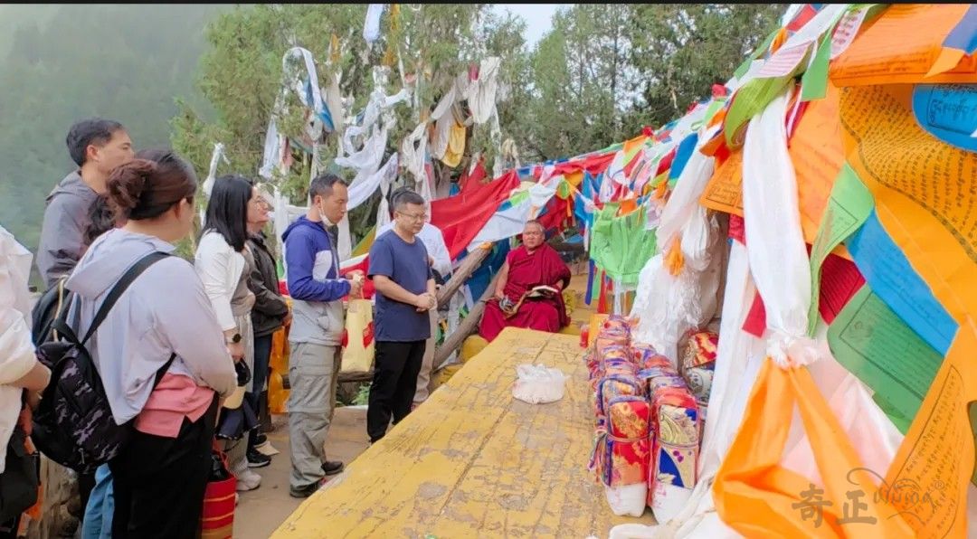 202407301722326525869724