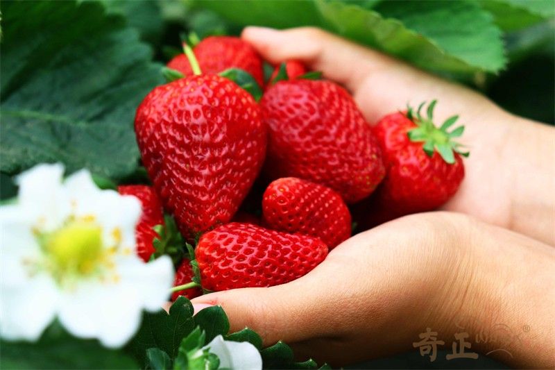 202408011722495583930552