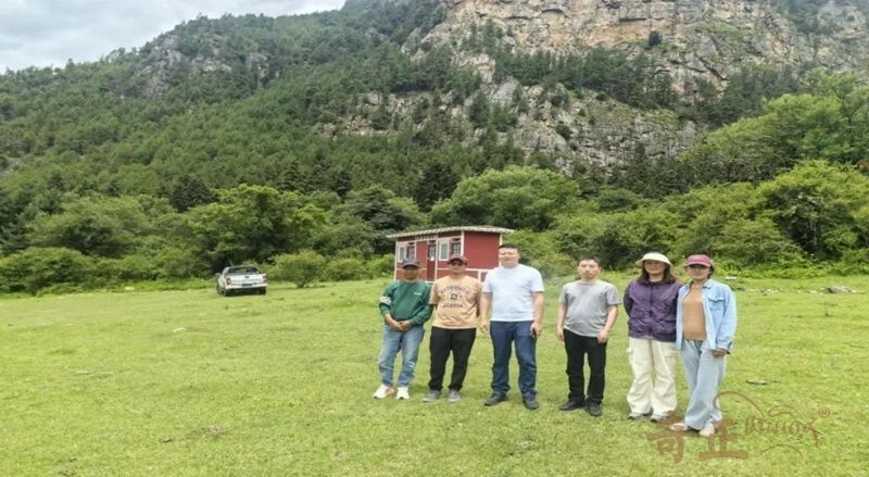 202408231724412477117056