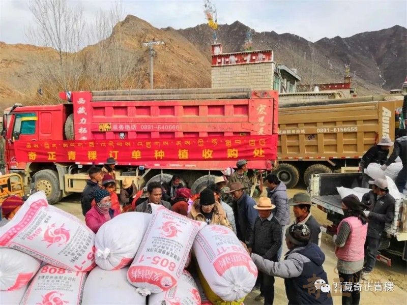 202409231727083987485891