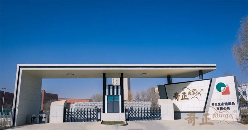 202411061730881081879386