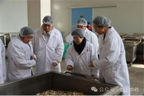 202412171734406479173740