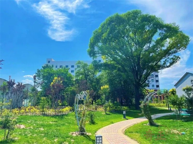 202412171734408956195300