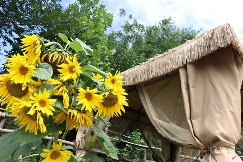 202412171734408956861978