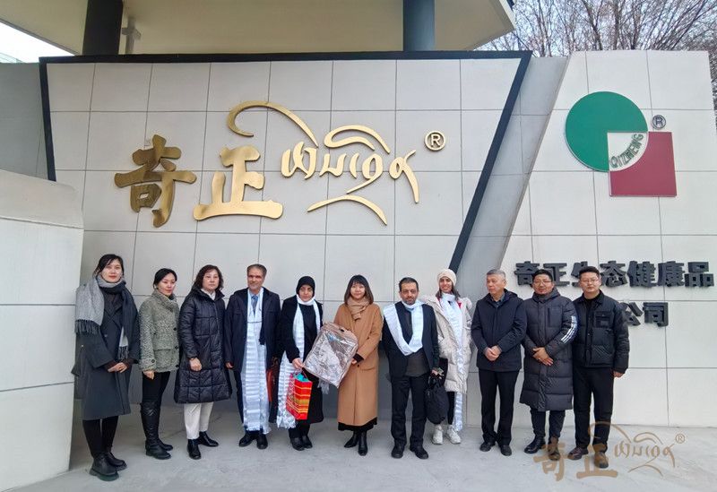 202501171737099083228847