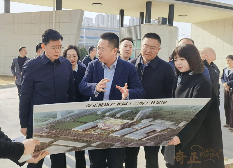 202504011743493134255234