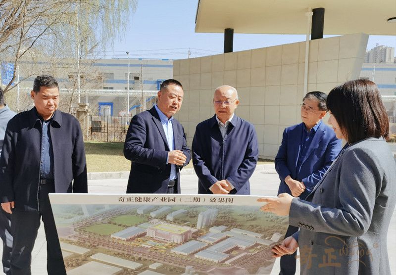 202504101744272547991897