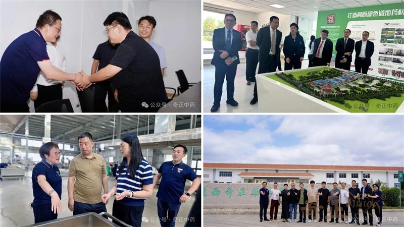 202509191758266720867324