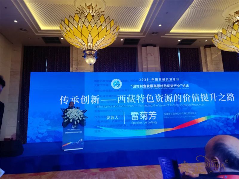 202511121762933628991617