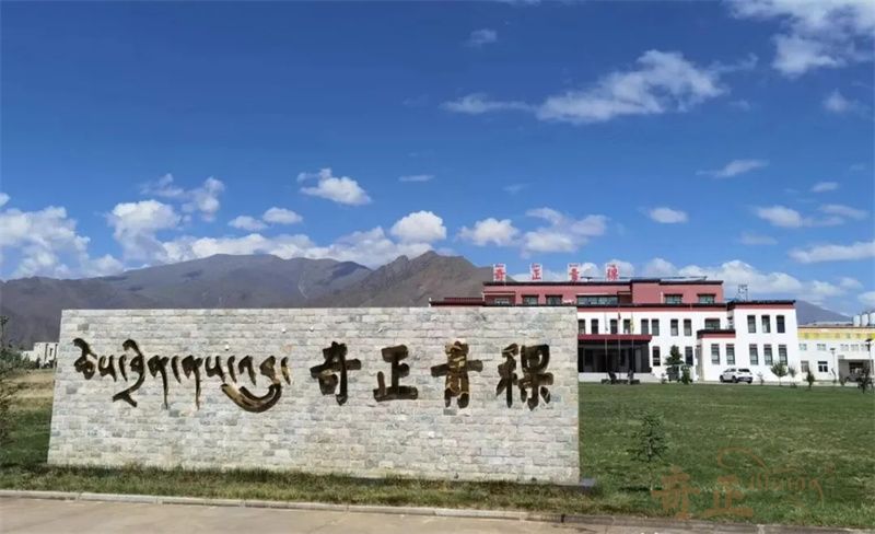 202512241766559720944279