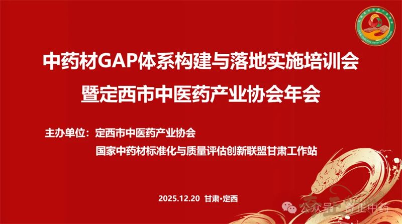 202512241766560033981286