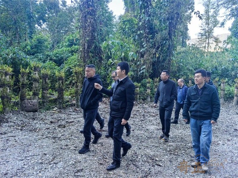 202512241766561122925916