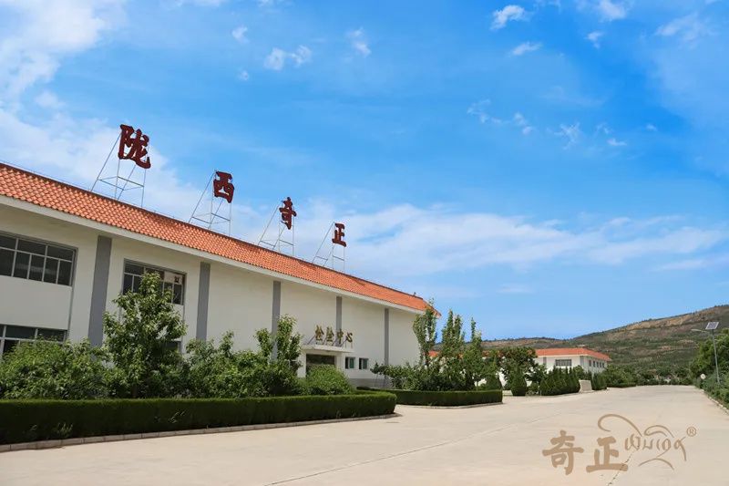 202512241766561989425973