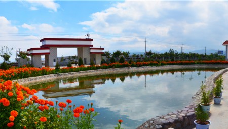 6966集团中药厂区