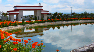 陇西6966集团药材有限责任公司