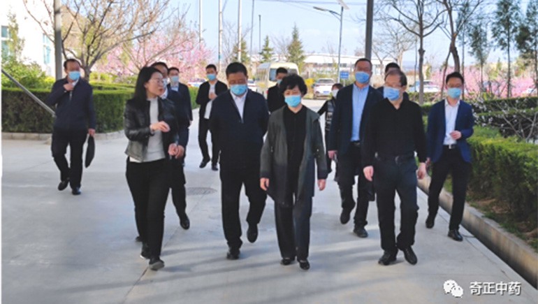 甘肃省副省长何伟一行光临陇西6966集团调研领导