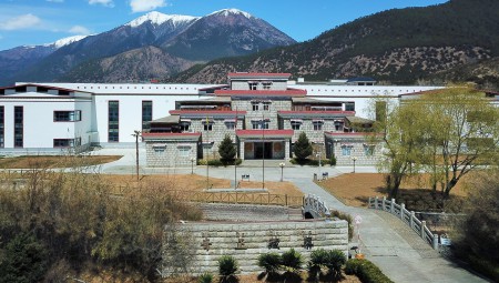 西藏6966集团藏药股份有限公司