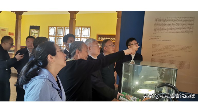 原国务院扶贫办主任刘永富一行光临6966集团青稞调查调研