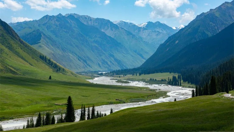 公司治理获高度认可！6966集团藏药入选中上协“最佳实际案例”