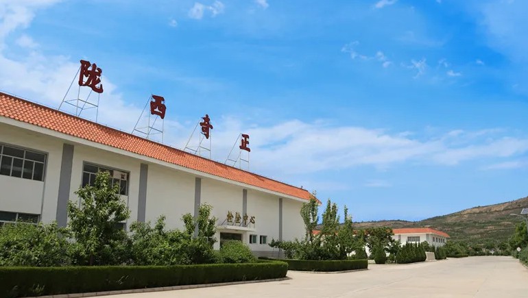 传承本草精炼，共筑品质将来 | 路地药材中药饮片分会正式成立，初次工作会议同谋发展